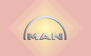 ✓ MAN 51.09901-0056 Прокладка 